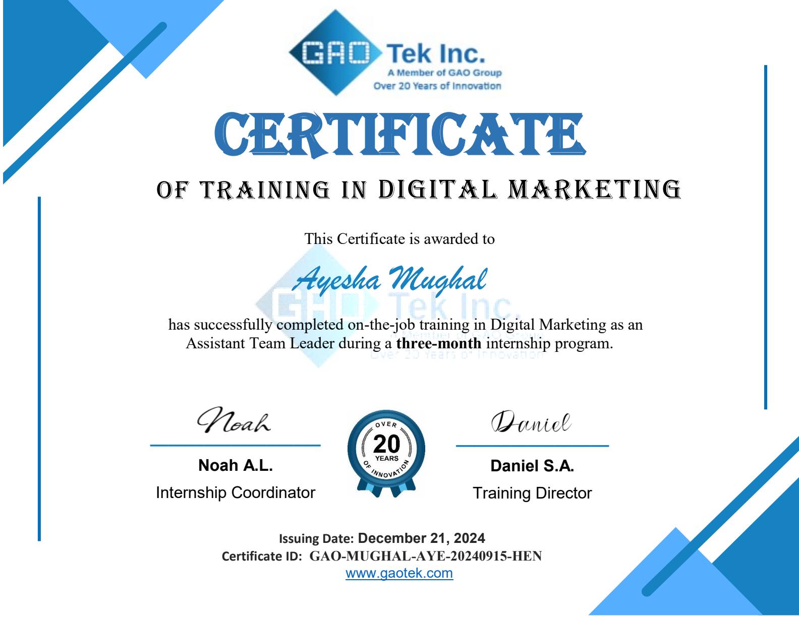GAO Tek: Digital Marketing & Strategy Internship
